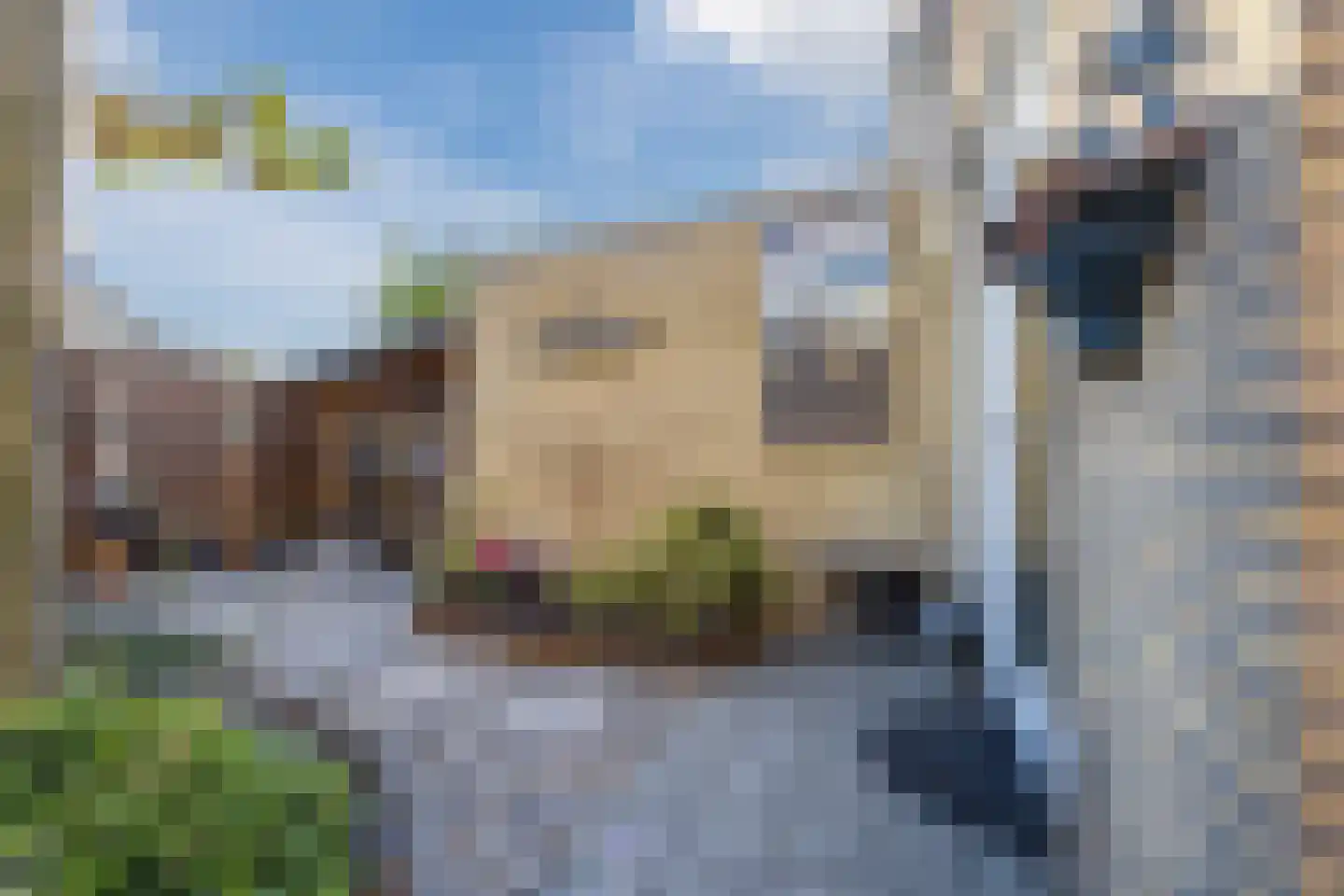 Leharstraat 26 Dongen thumbnail 35