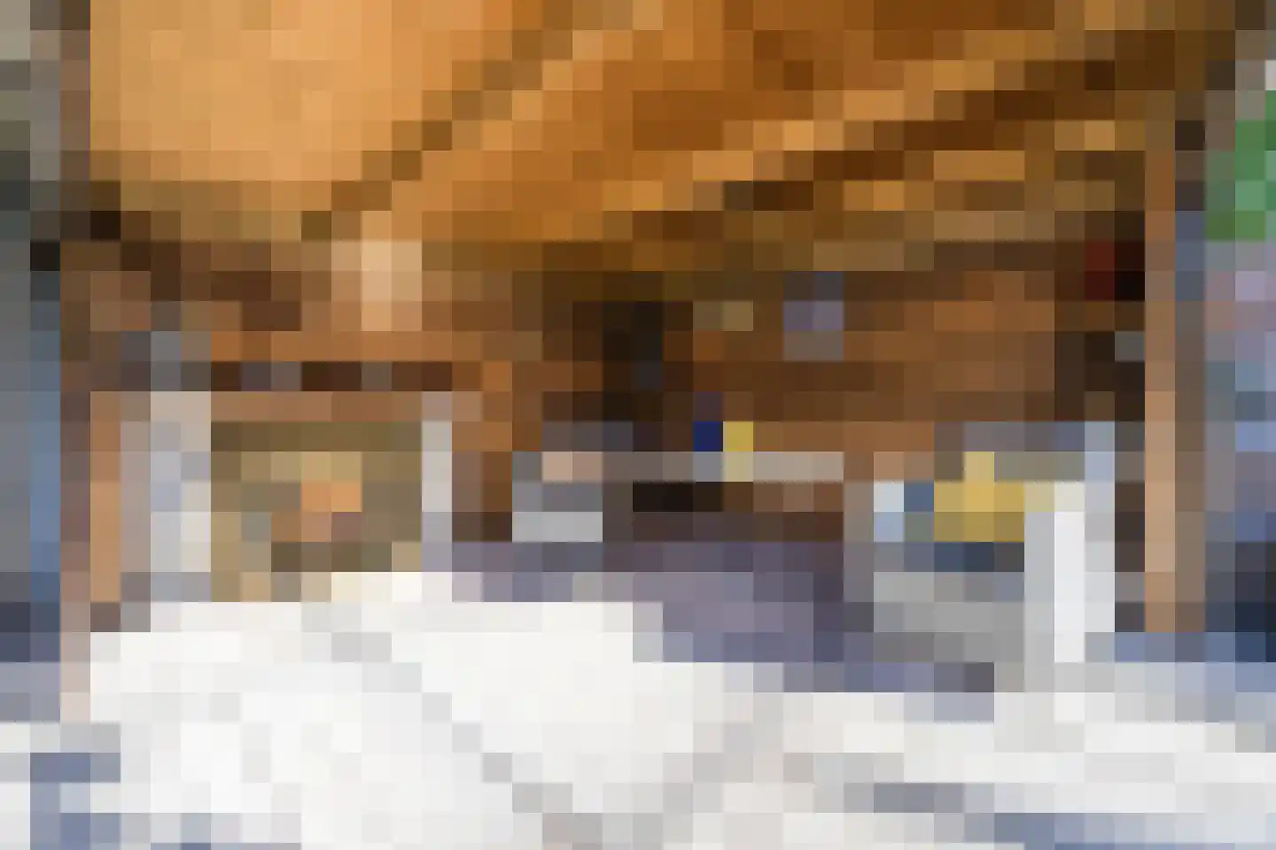 Leharstraat 26 Dongen thumbnail 40