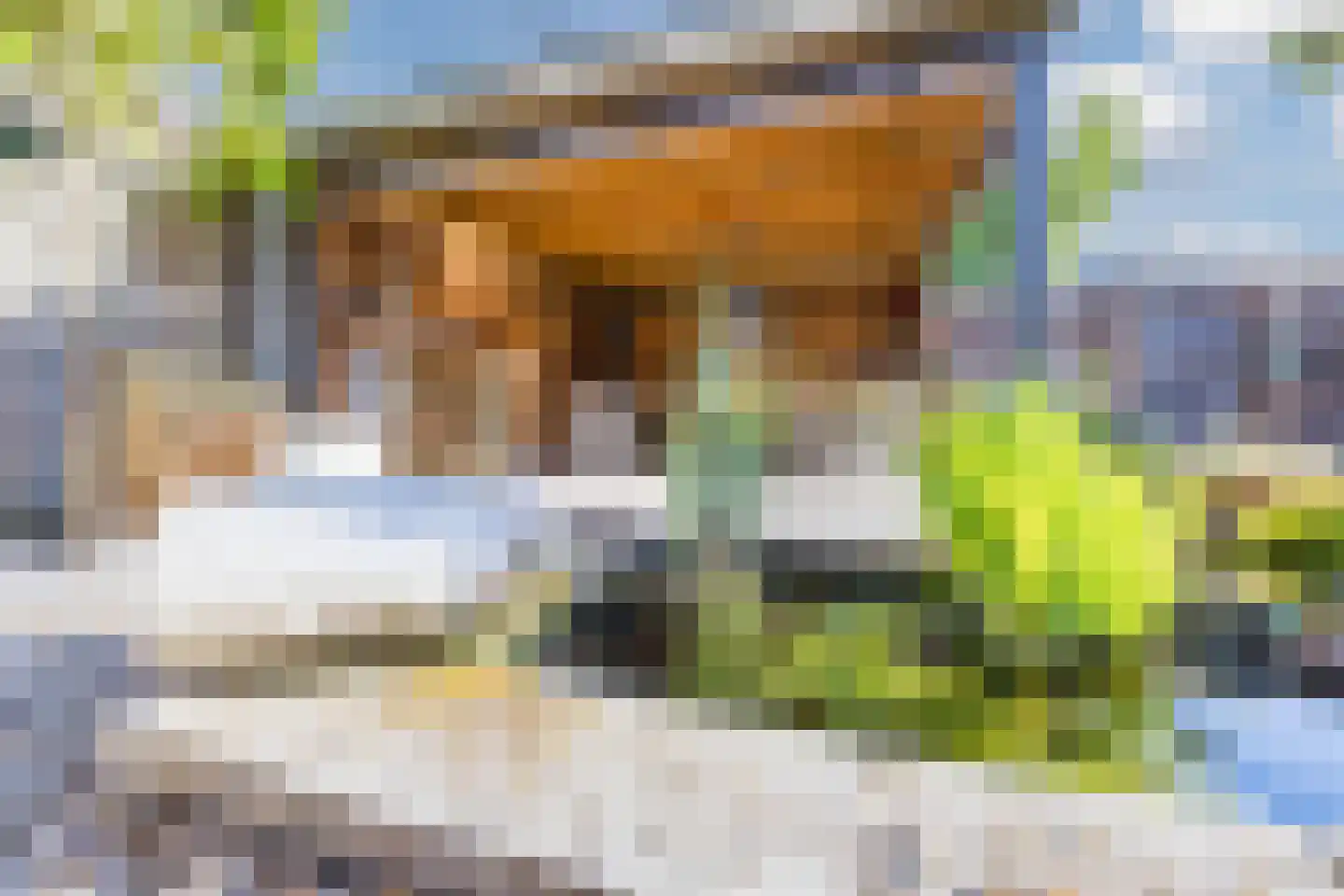 Leharstraat 26 Dongen thumbnail 41