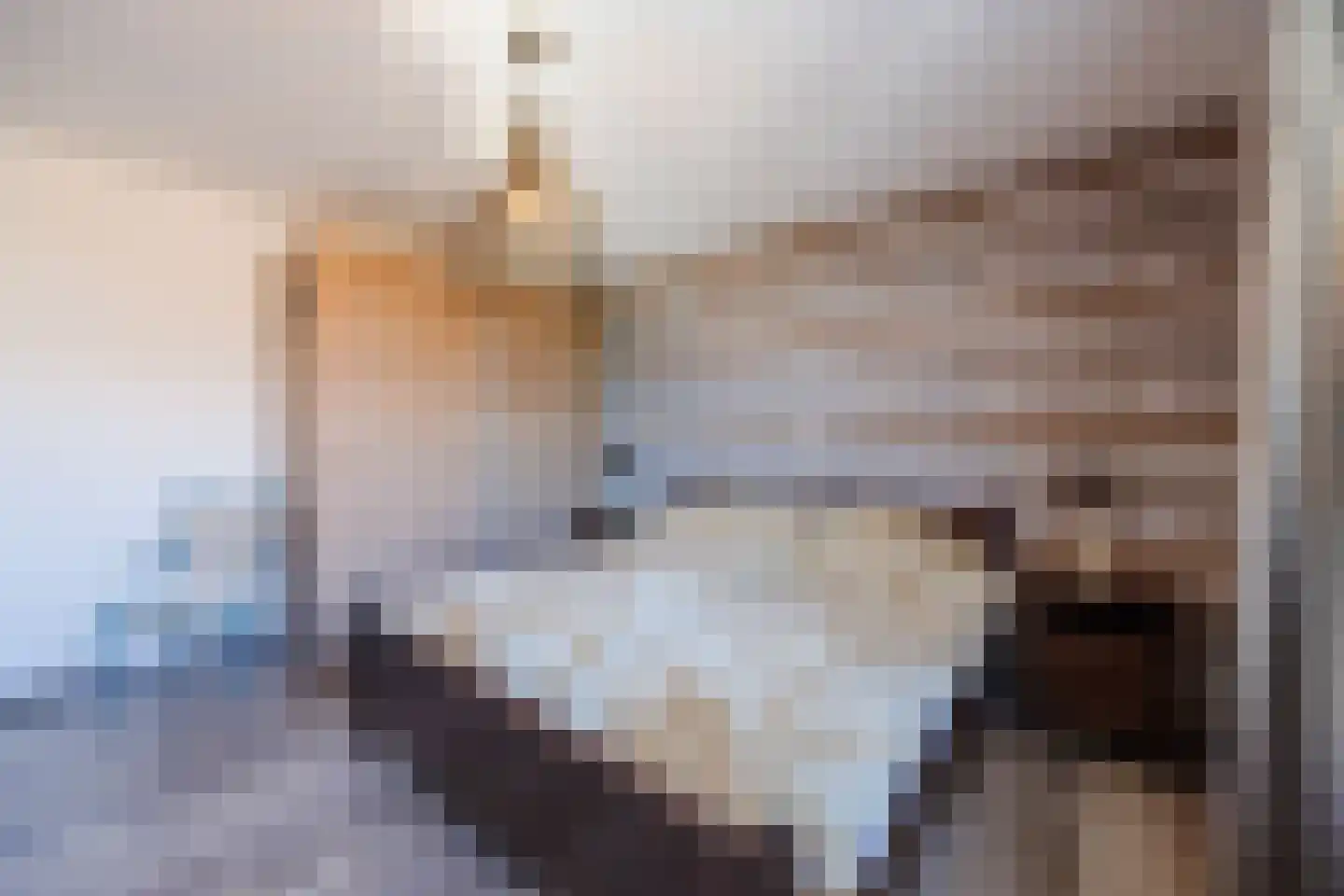 Leharstraat 26 Dongen thumbnail 50
