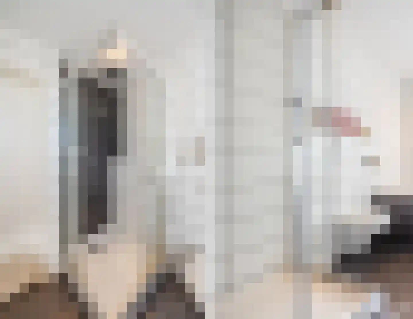 Leharstraat 26 Dongen thumbnail 57
