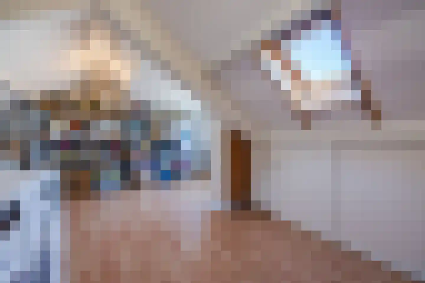 Leharstraat 26 Dongen thumbnail 58