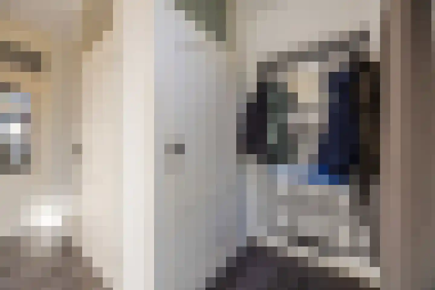 Leharstraat 26 Dongen thumbnail 6