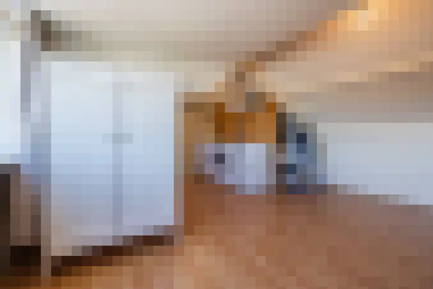 Leharstraat 26 Dongen thumbnail 63