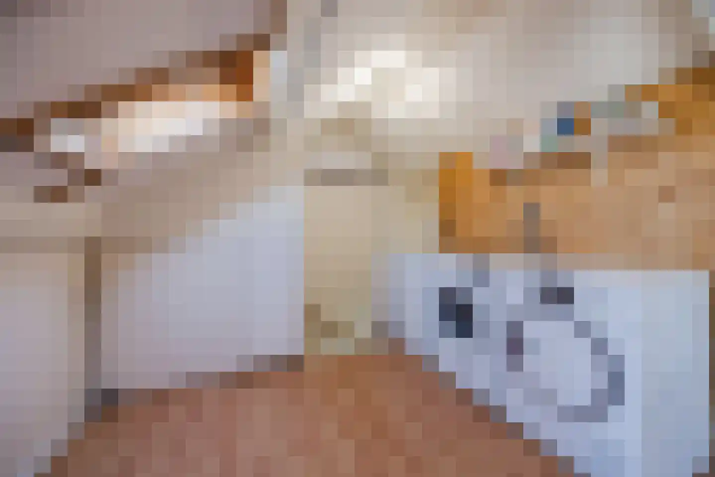 Leharstraat 26 Dongen thumbnail 64