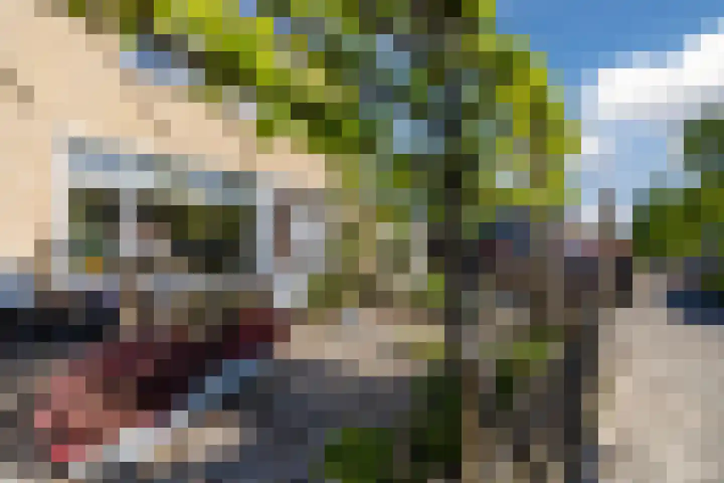 Leharstraat 26 Dongen thumbnail 69