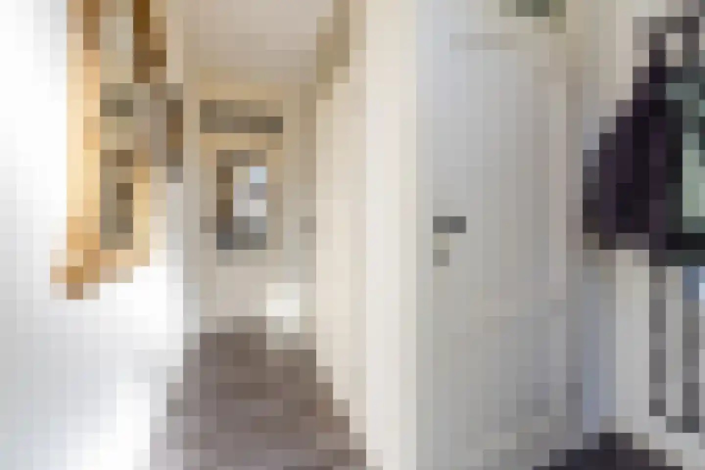 Leharstraat 26 Dongen thumbnail 7