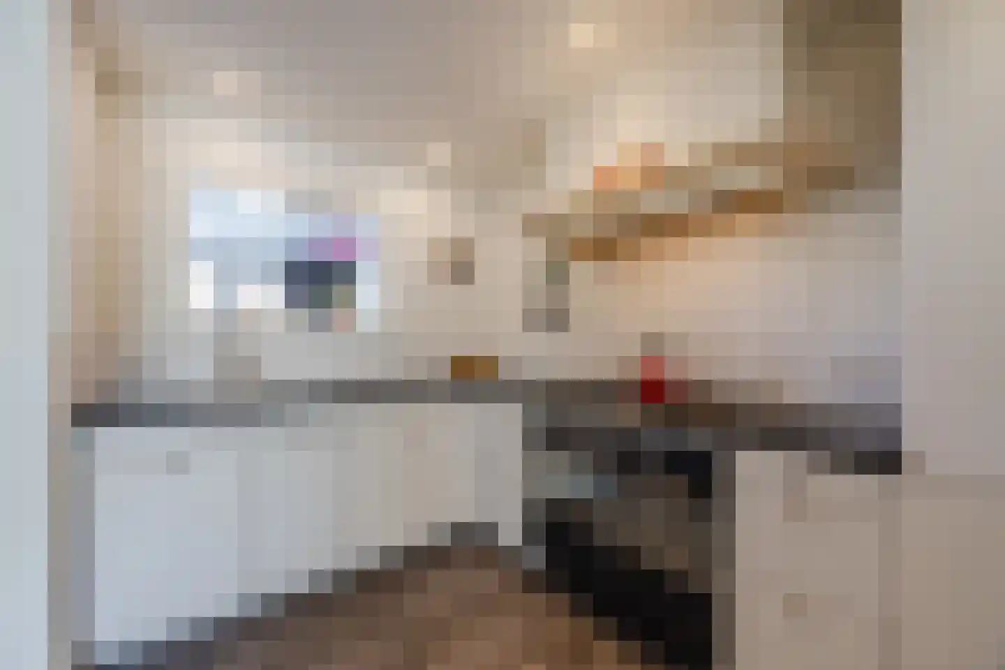 Leharstraat 26 Dongen thumbnail 9
