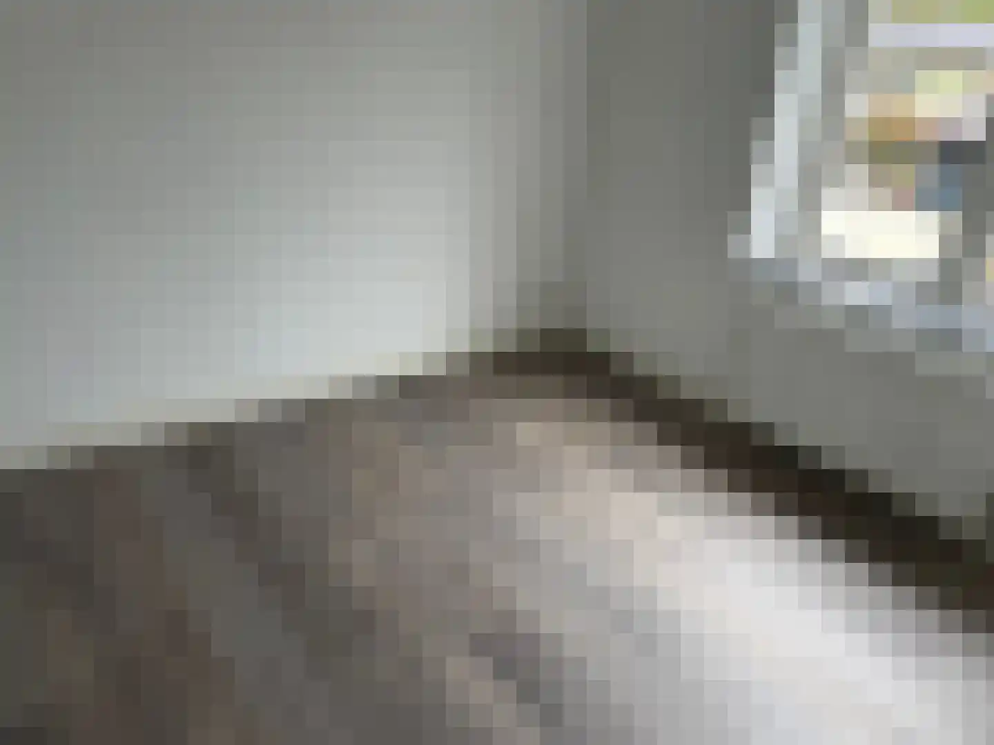 Leharstraat 35 Tilburg thumbnail 26