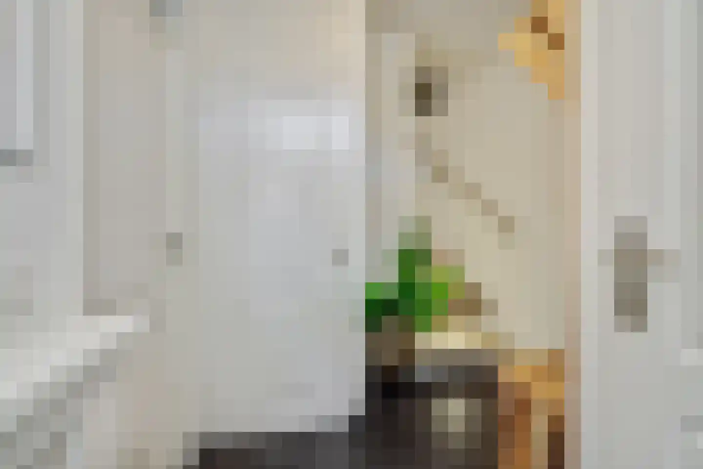 Leharstraat 36 Heesch thumbnail 11