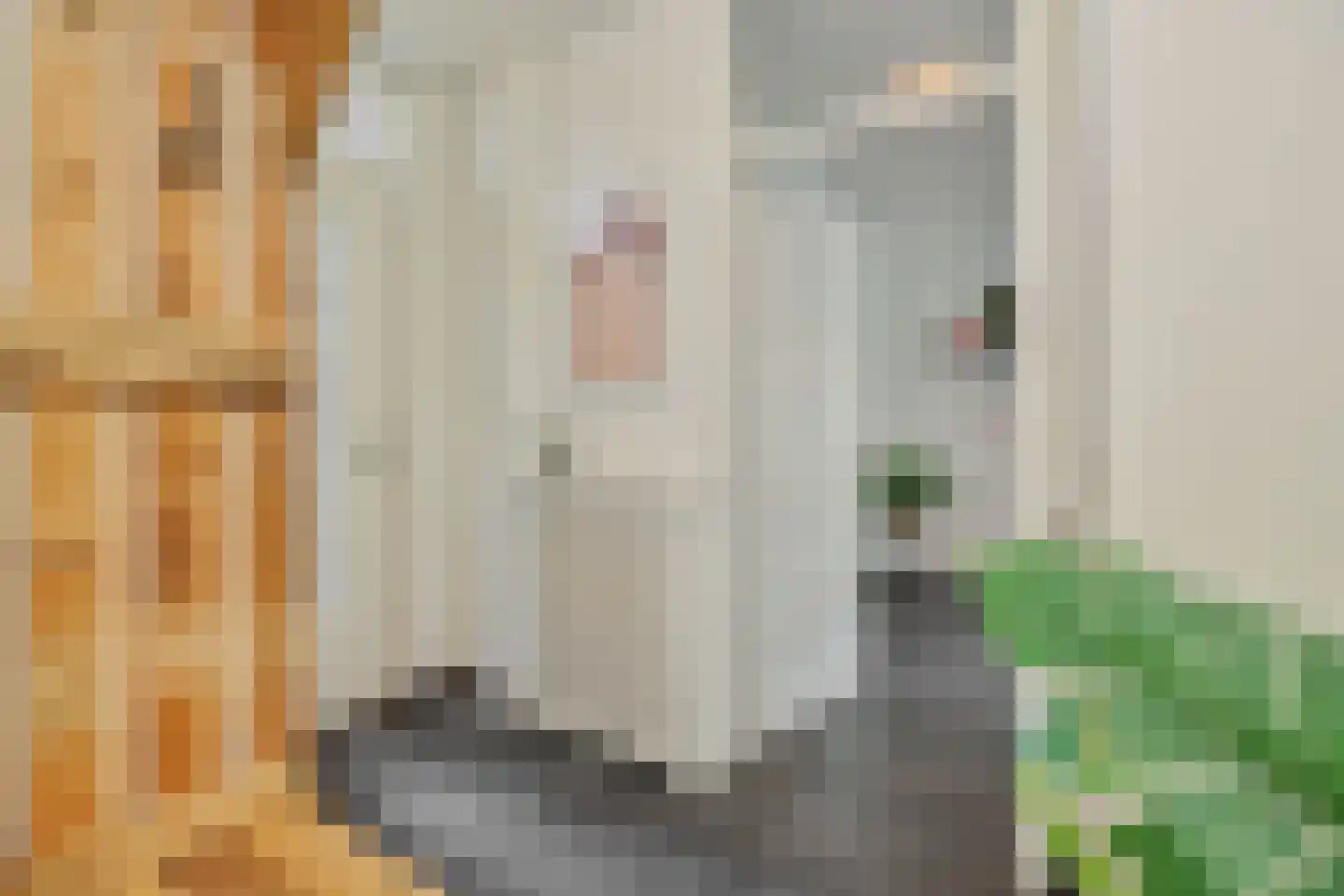 Leharstraat 36 Heesch thumbnail 13