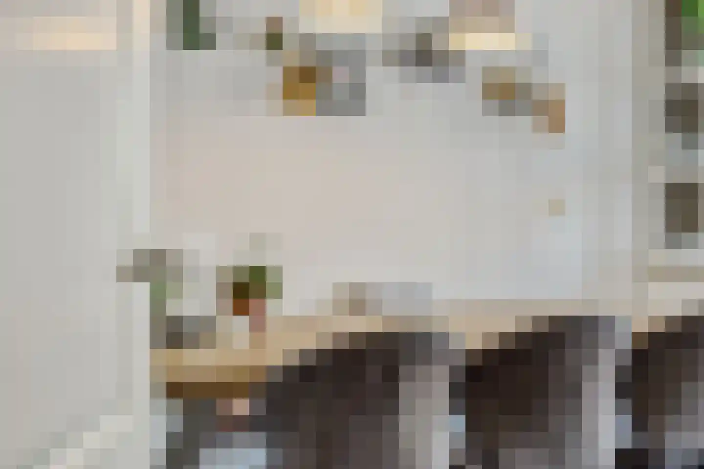 Leharstraat 36 Heesch thumbnail 14