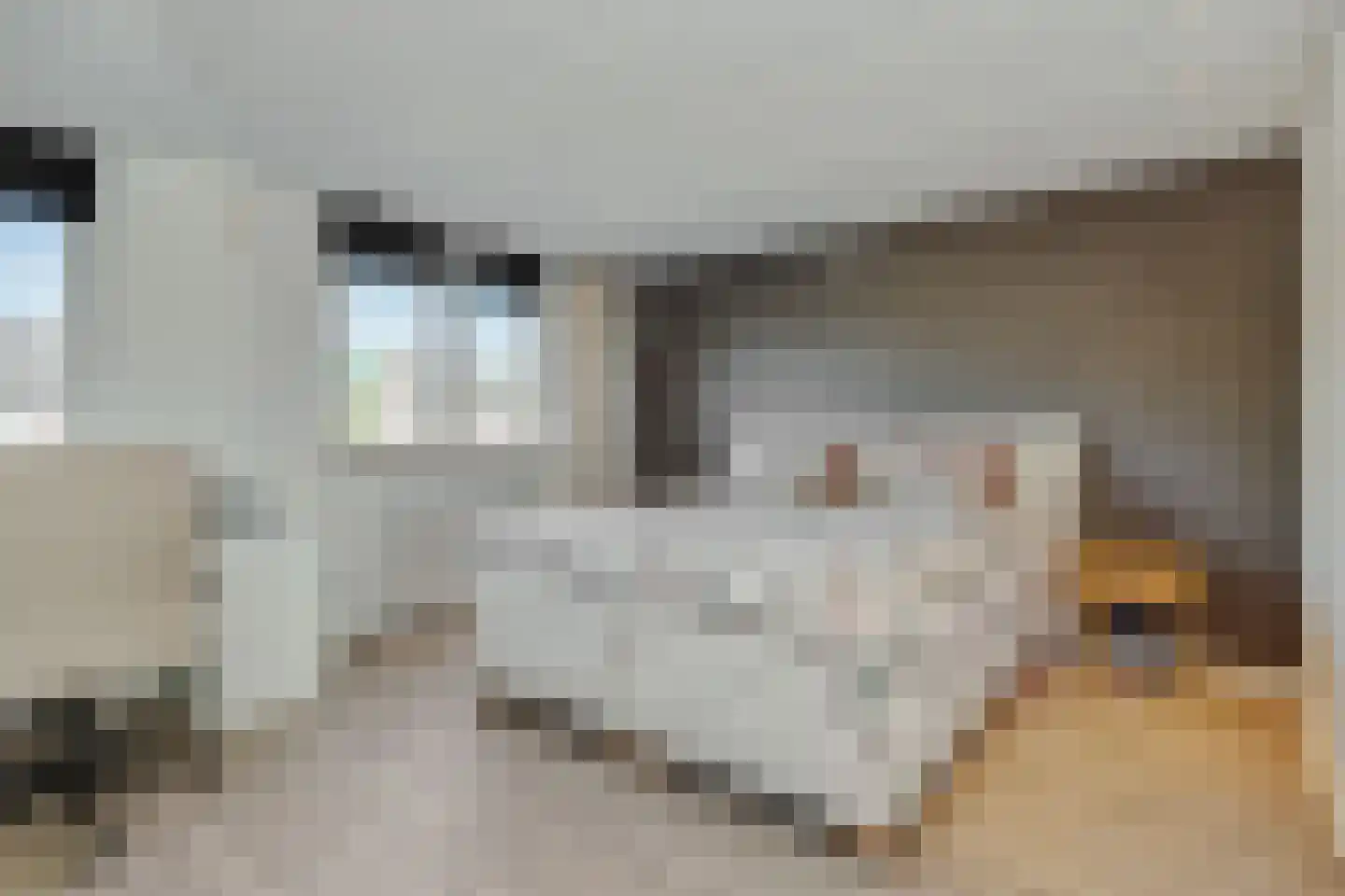 Leharstraat 36 Heesch thumbnail 16