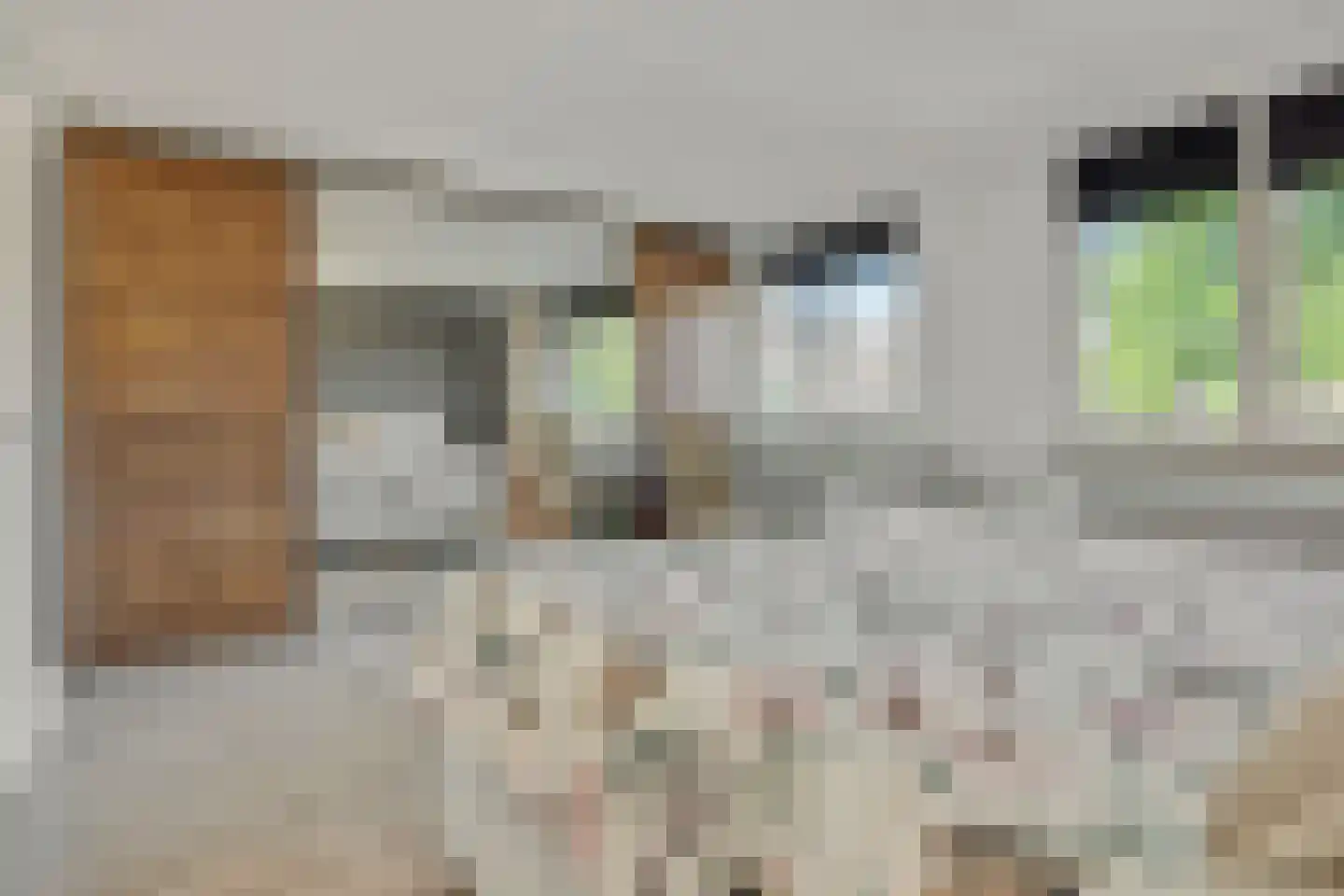 Leharstraat 36 Heesch thumbnail 17