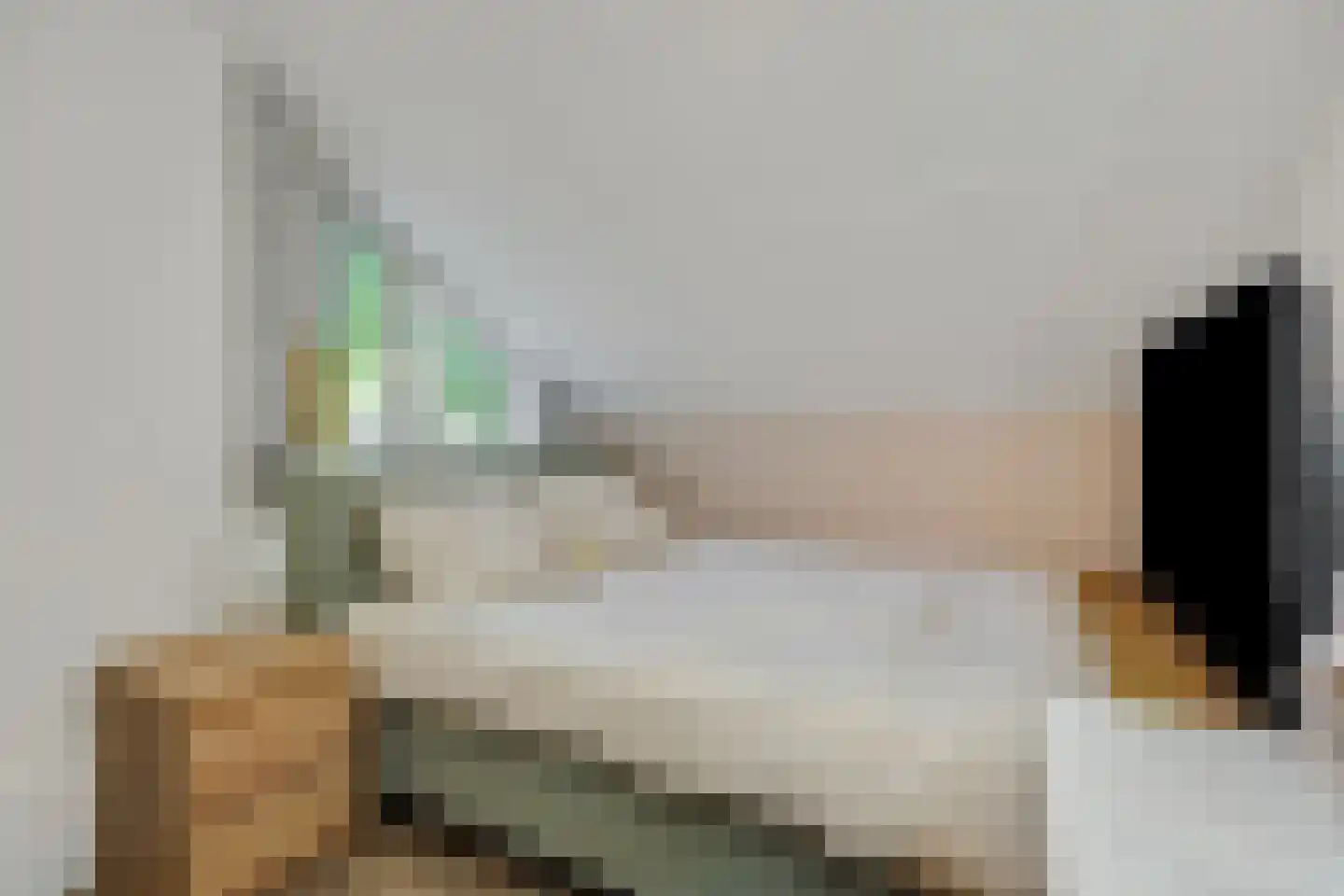 Leharstraat 36 Heesch thumbnail 18