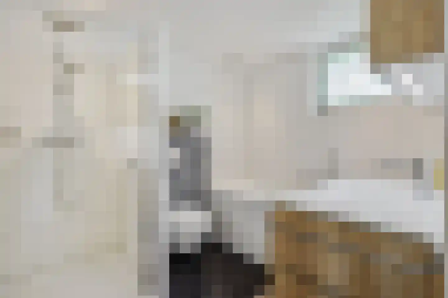 Leharstraat 36 Heesch thumbnail 20