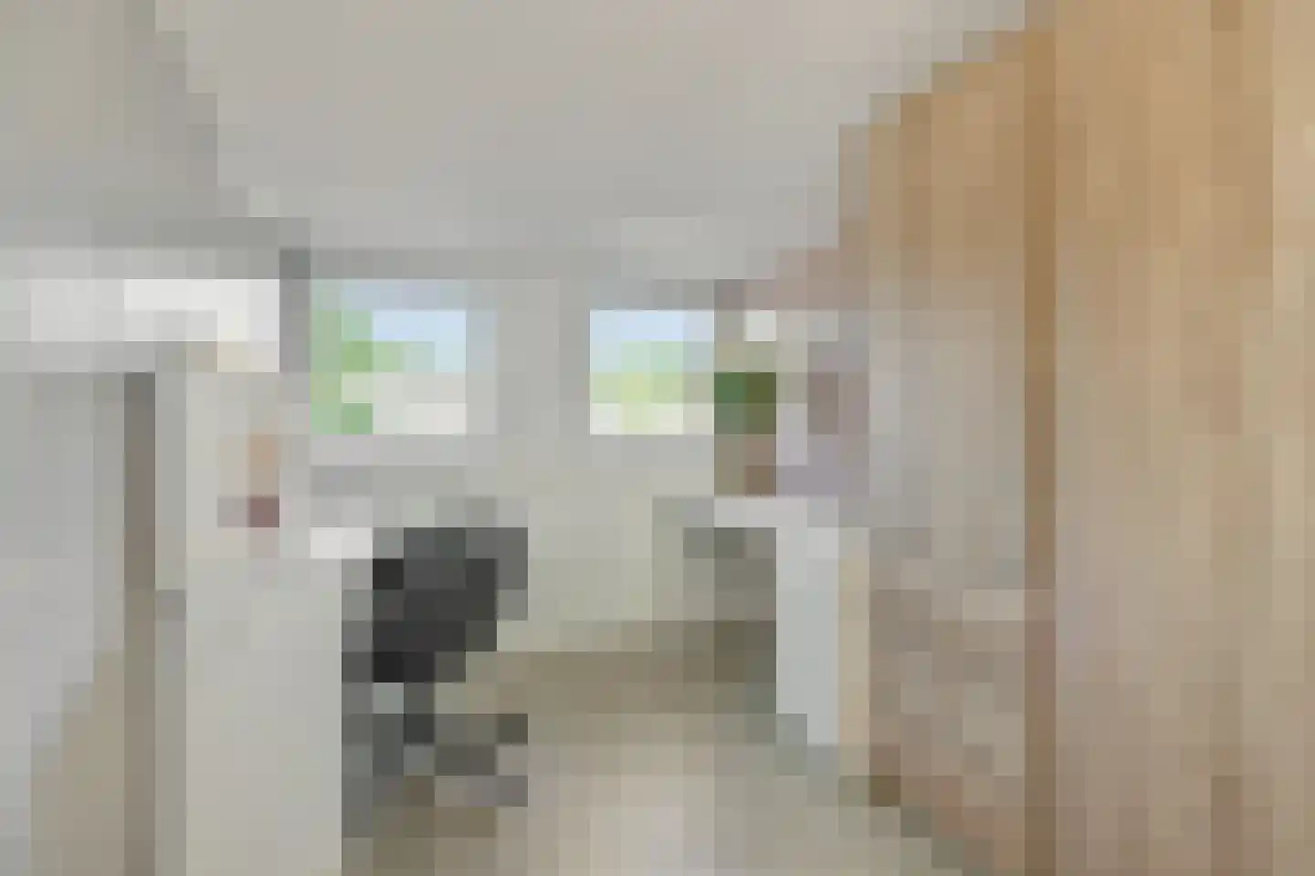 Leharstraat 36 Heesch thumbnail 27