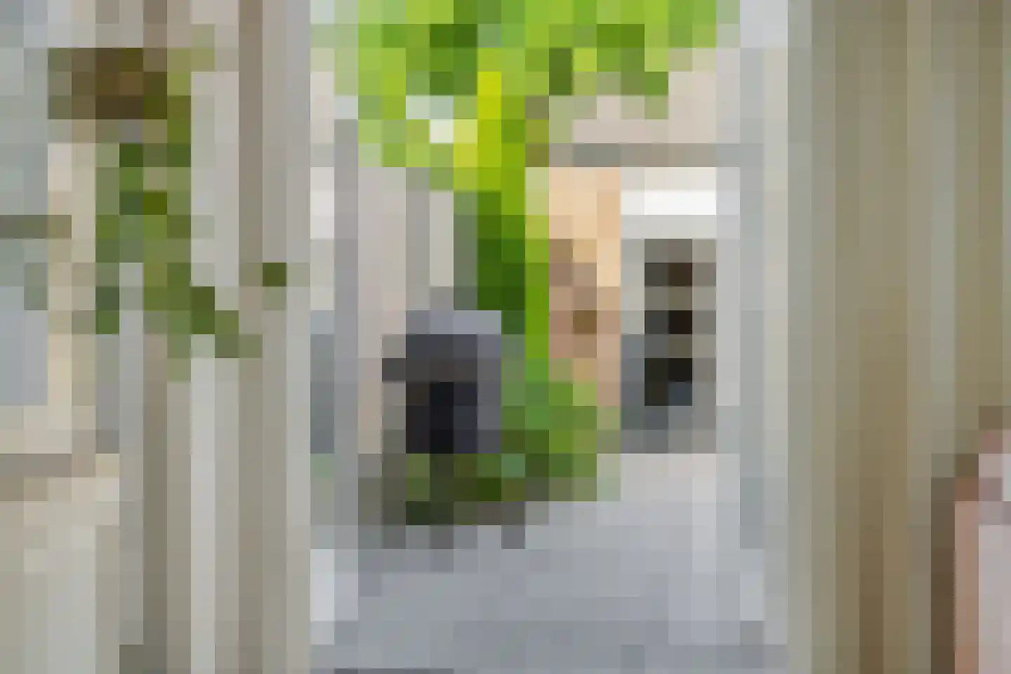 Leharstraat 36 Heesch thumbnail 28