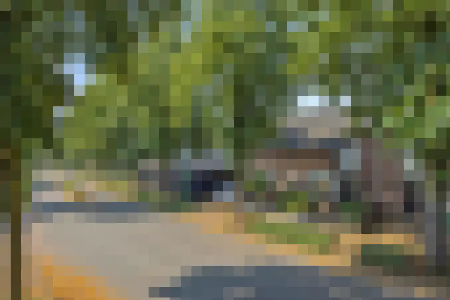 Leharstraat 36 Heesch thumbnail 42