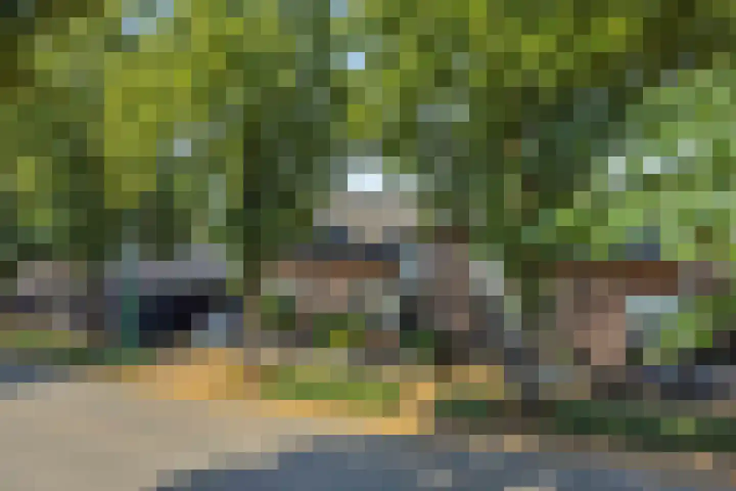 Leharstraat 36 Heesch thumbnail 43