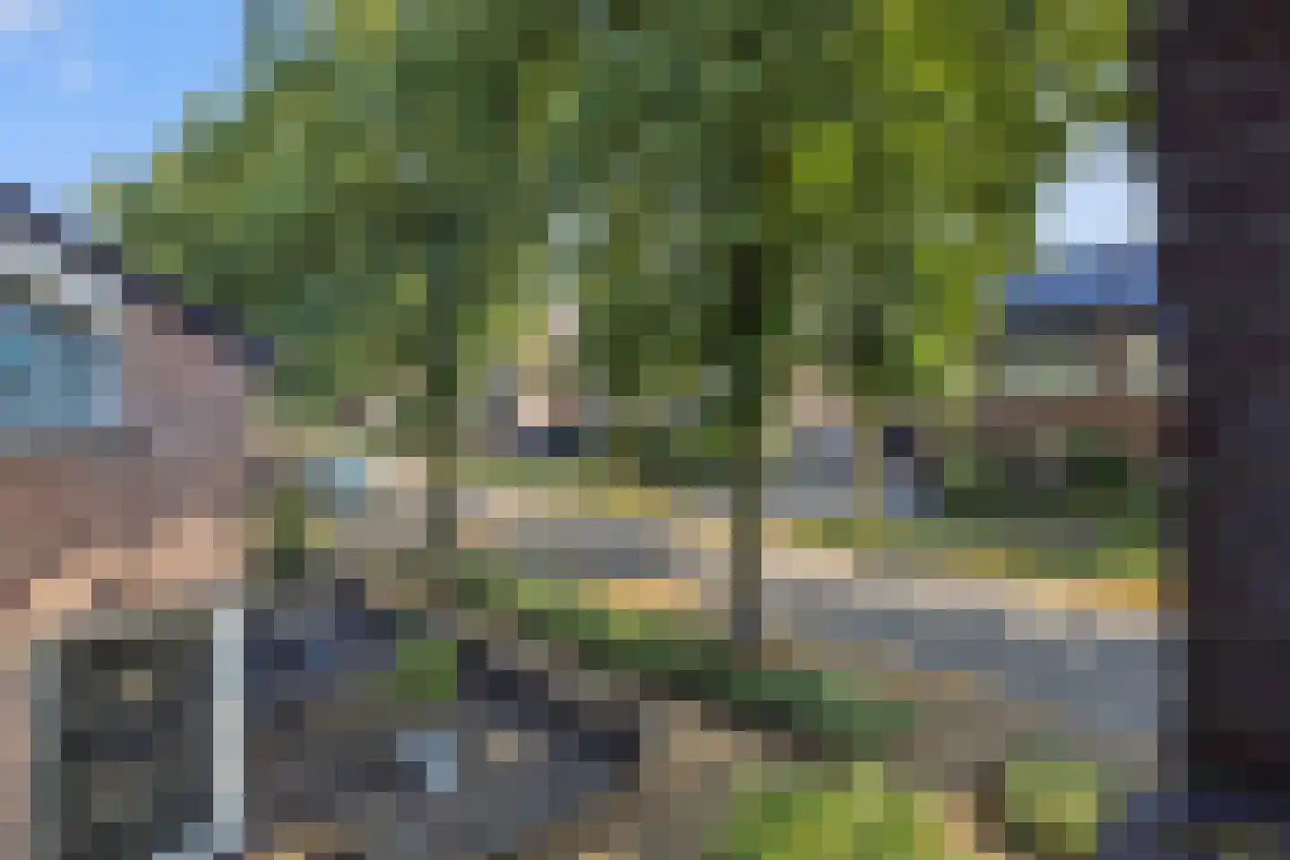 Leharstraat 36 Heesch thumbnail 46