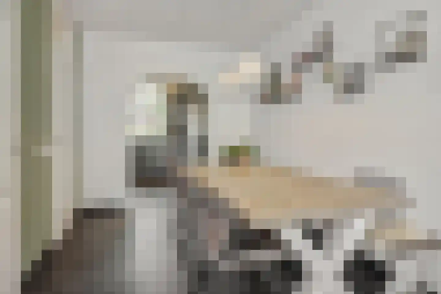 Leharstraat 36 Heesch thumbnail 5