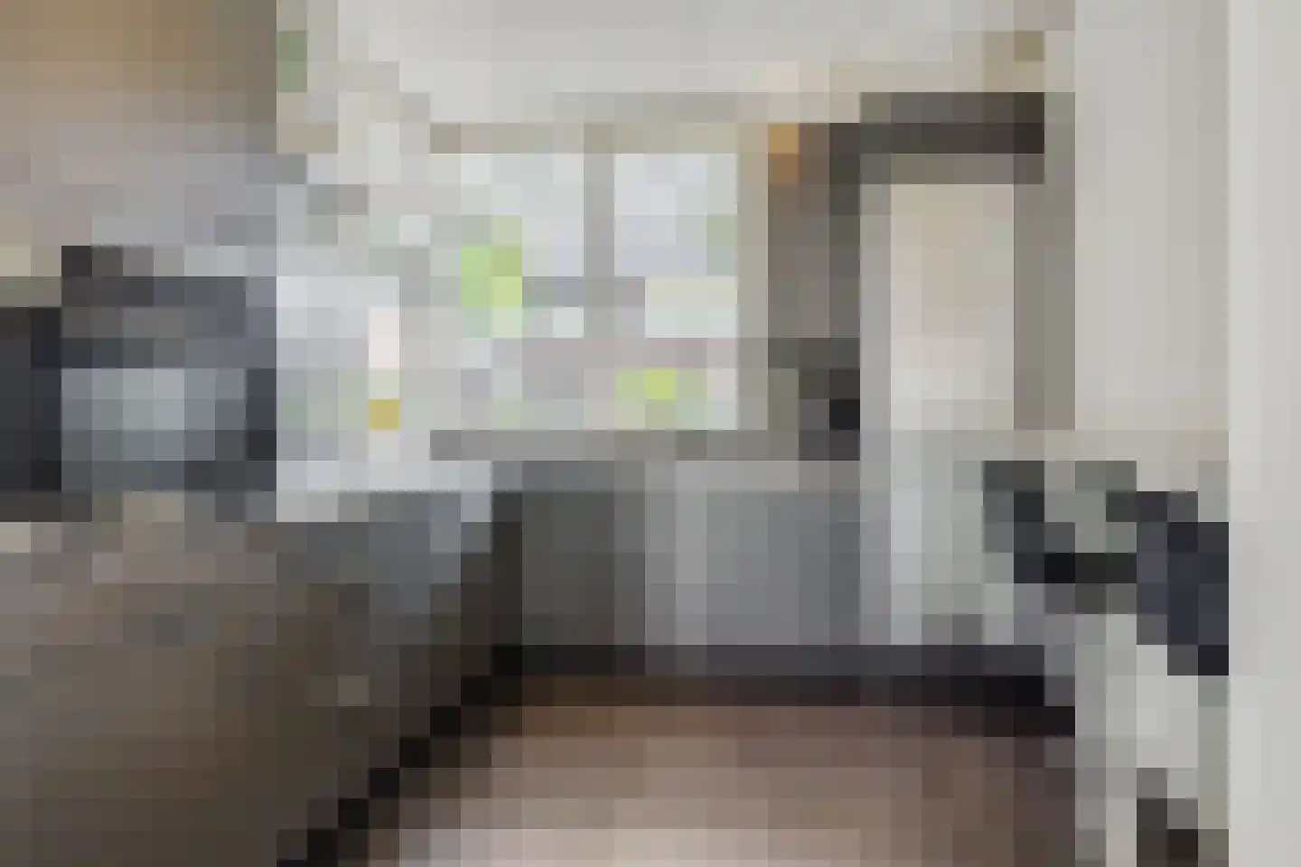 Leharstraat 36 Heesch thumbnail 7