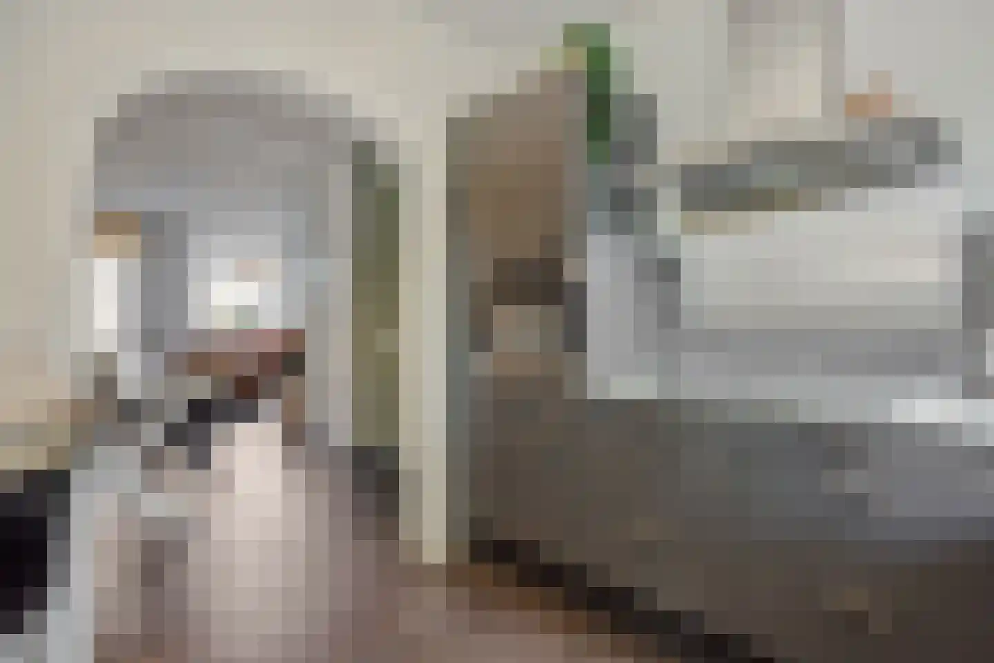 Leharstraat 36 Heesch thumbnail 8