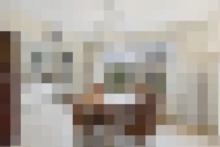 Leharstraat 4 Hulst thumbnail 12
