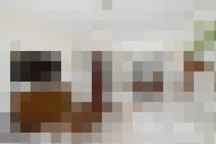 Leharstraat 4 Hulst thumbnail 14