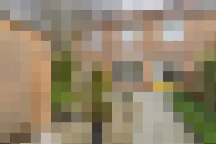 Leharstraat 4 Hulst thumbnail 28