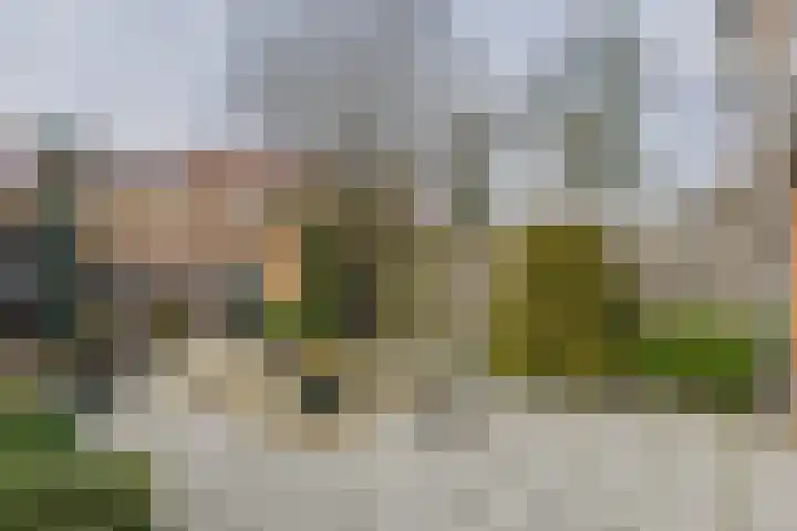 Leharstraat 4 Hulst thumbnail 31