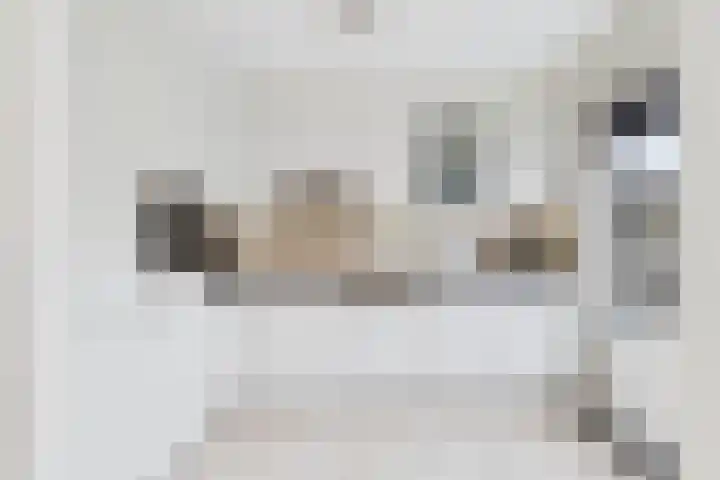 Leharstraat 4 Hulst thumbnail 5