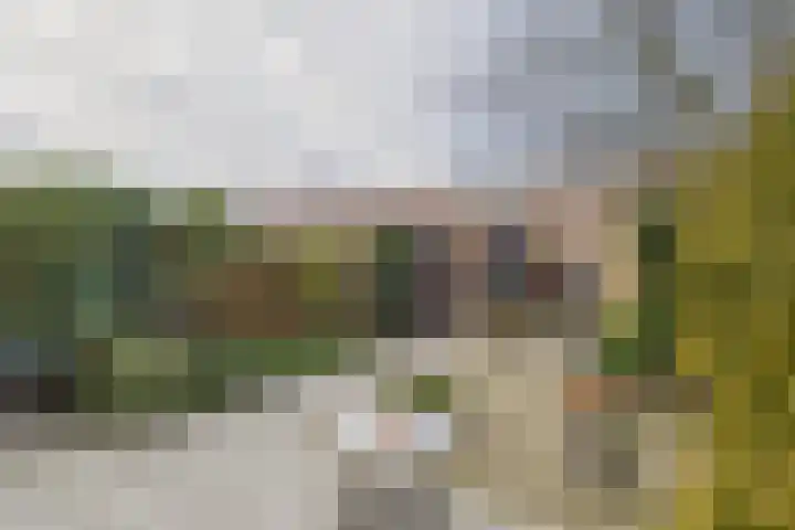 Leharstraat 4 Hulst thumbnail 6