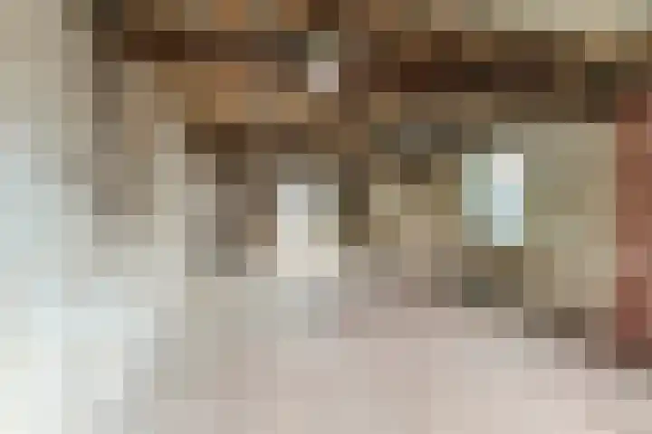 Leharstraat 43 Tilburg thumbnail 17