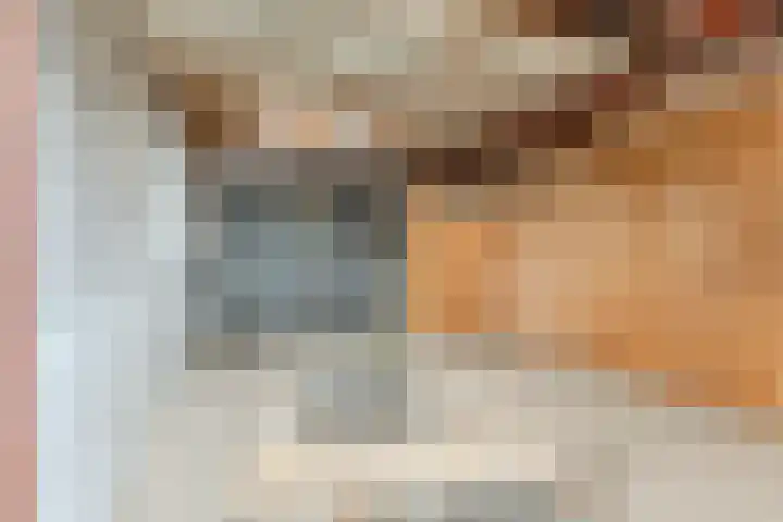 Leharstraat 43 Tilburg thumbnail 21
