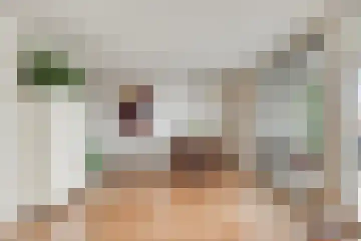 Lehárstraat 50 Capelle aan den IJssel thumbnail 6