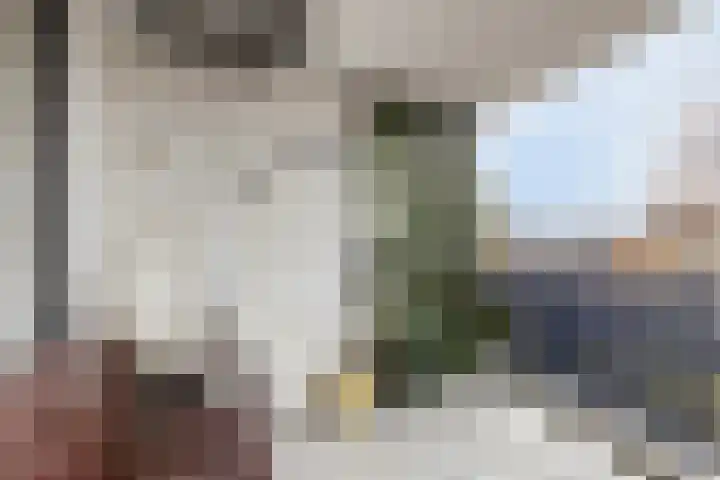Lehárstraat 50 Capelle aan den IJssel thumbnail 7