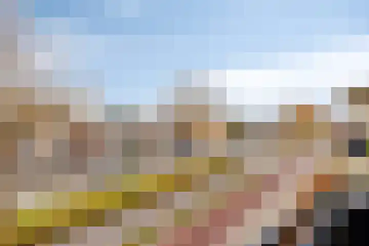 Lehárstraat 50 Capelle aan den IJssel thumbnail 9