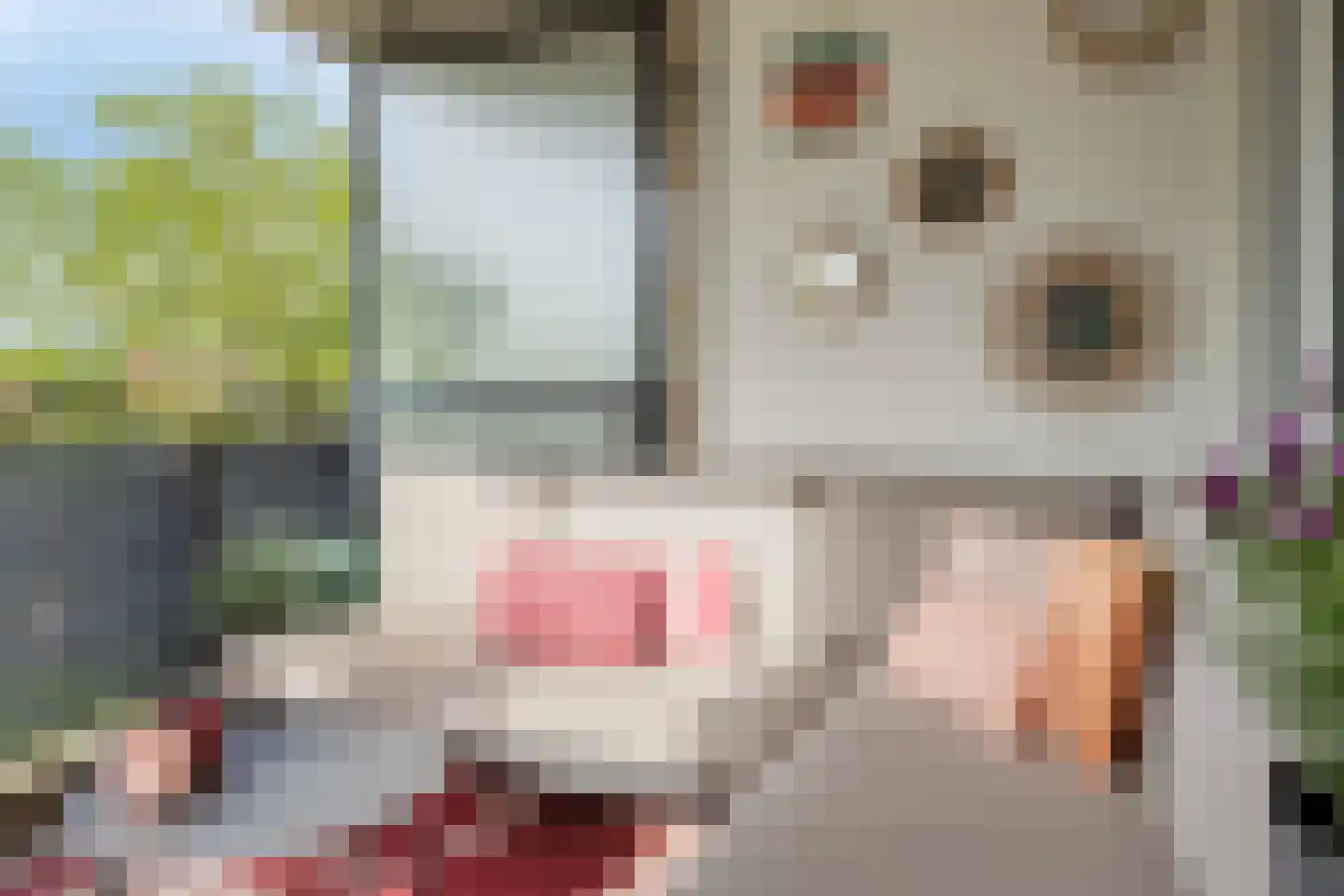 Lehárstraat 56 Capelle aan den IJssel thumbnail 13