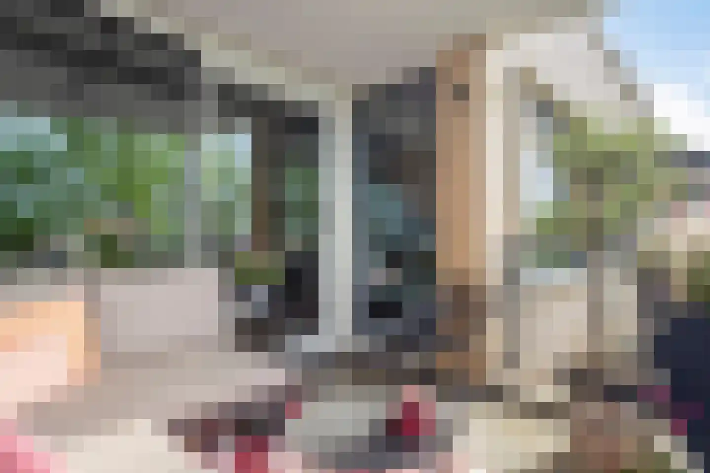 Lehárstraat 56 Capelle aan den IJssel thumbnail 14