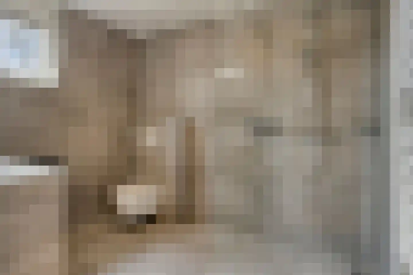 Leharstraat 6 Heesch thumbnail 19