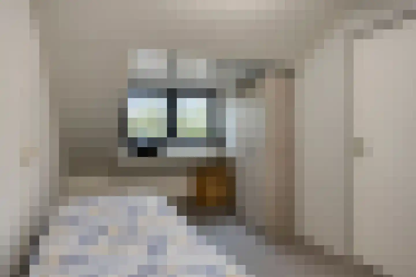 Leharstraat 6 Heesch thumbnail 27