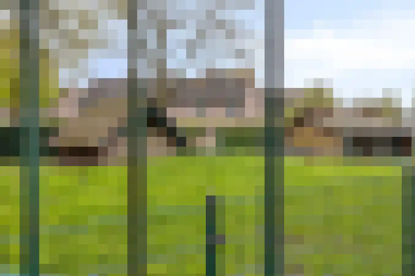 Leharstraat 6 Heesch thumbnail 40