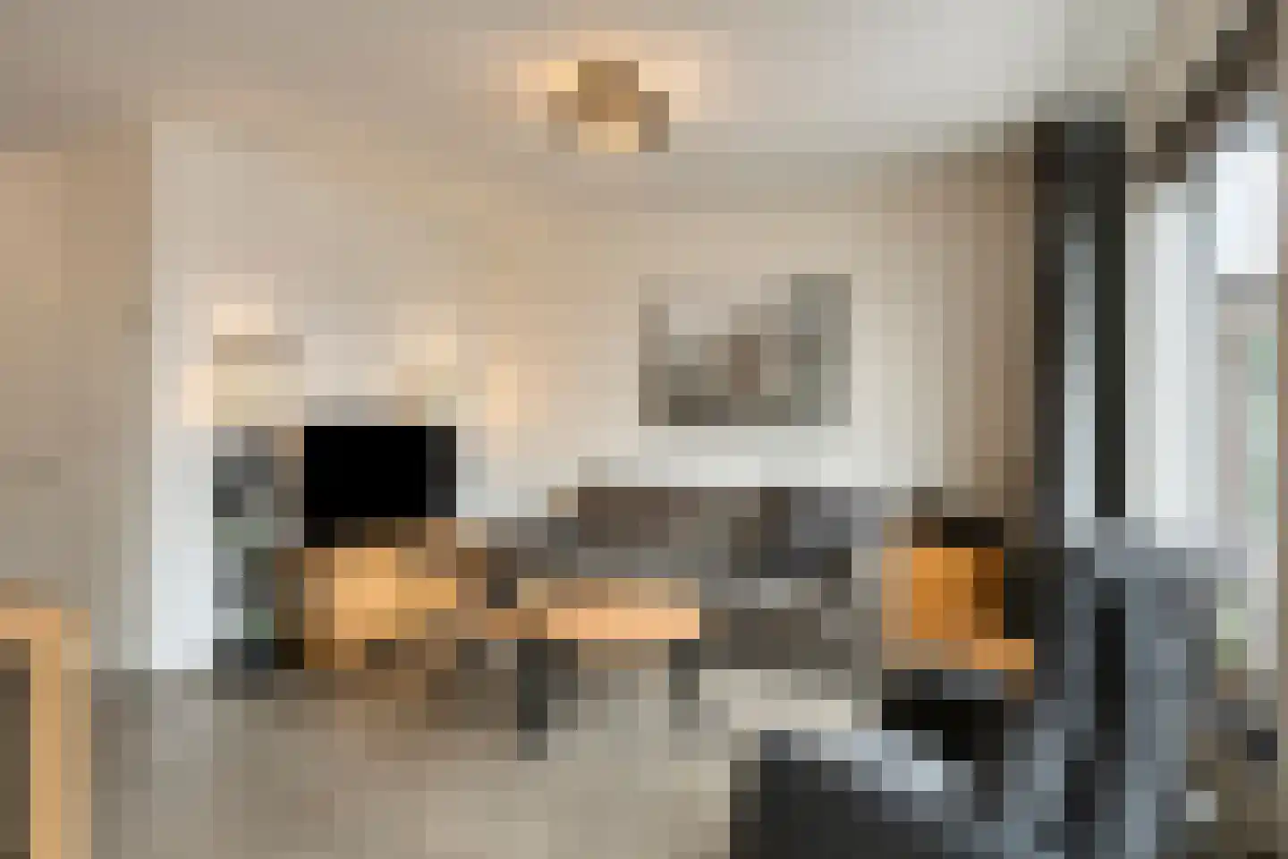 Leharstraat 6 Heesch thumbnail 7