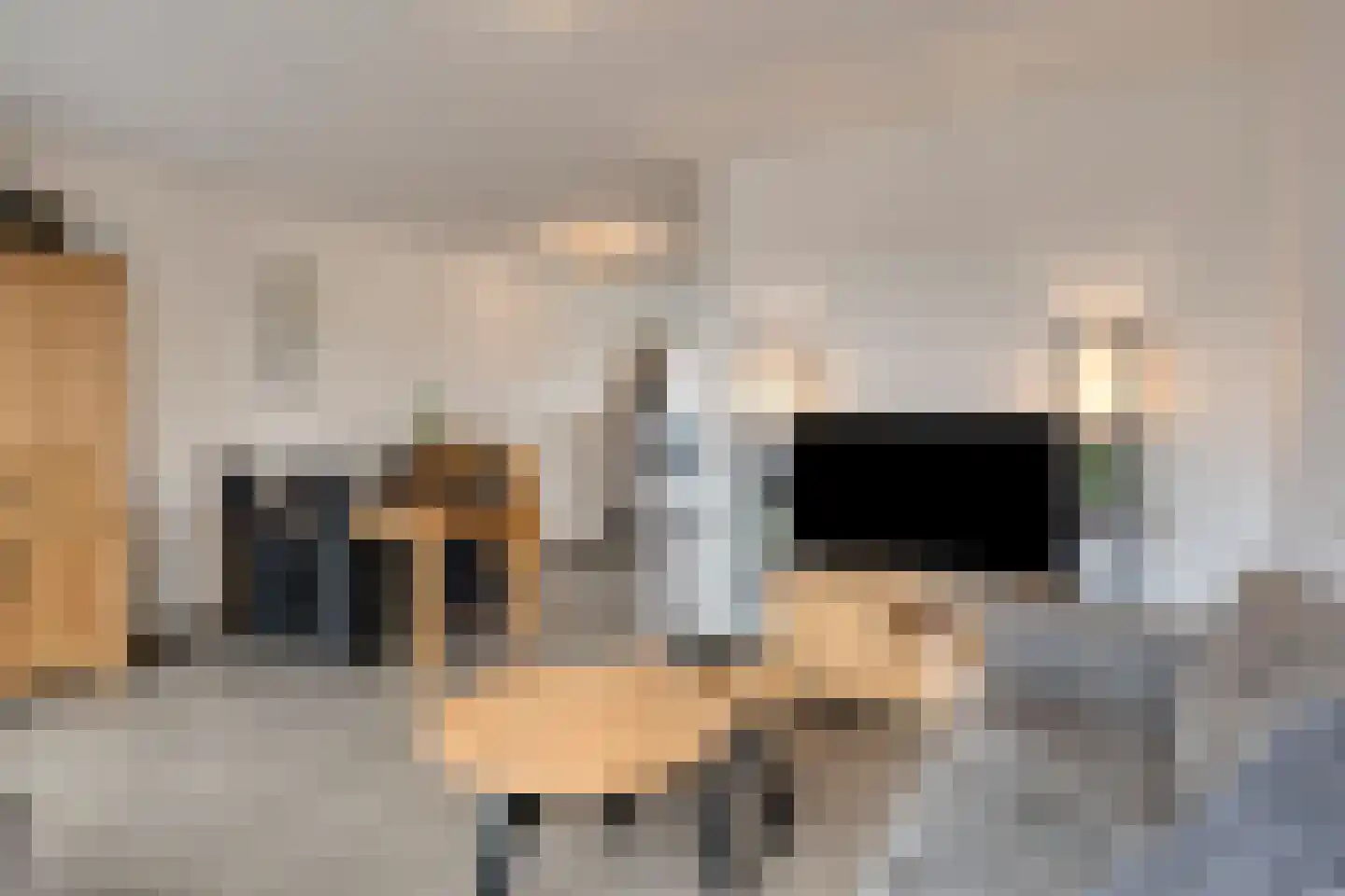 Leharstraat 6 Heesch thumbnail 8