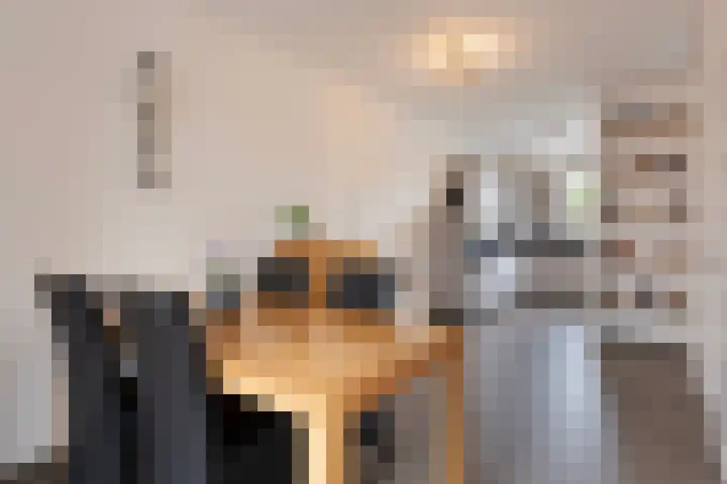 Leharstraat 6 Heesch thumbnail 9