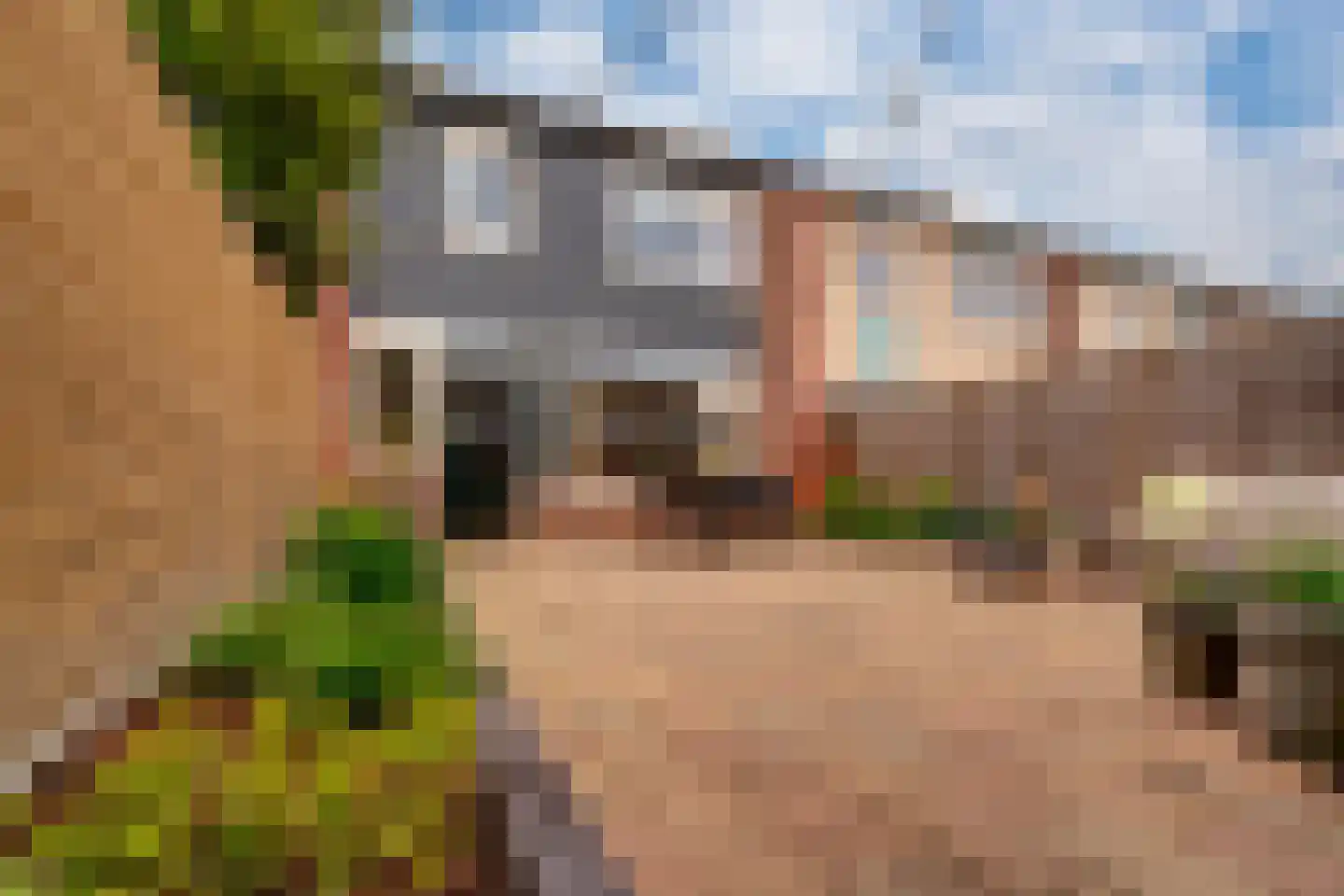 Léharstraat 6 Zevenaar thumbnail 4