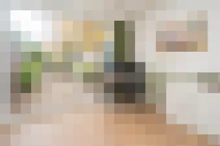 Leharstraat 65 Tilburg thumbnail 16