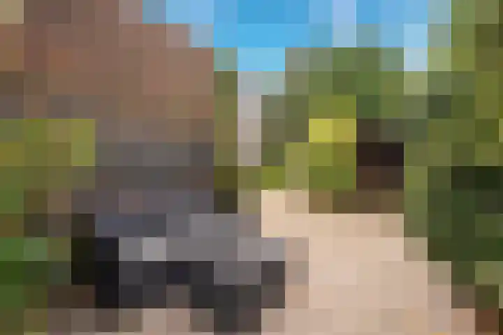 Leharstraat 65 Tilburg thumbnail 21